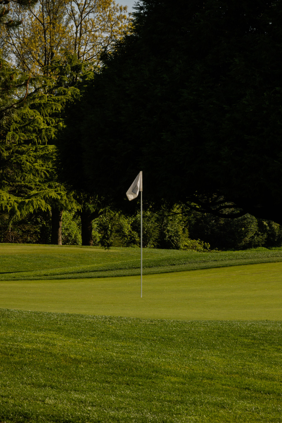 Bloedel Conservatory